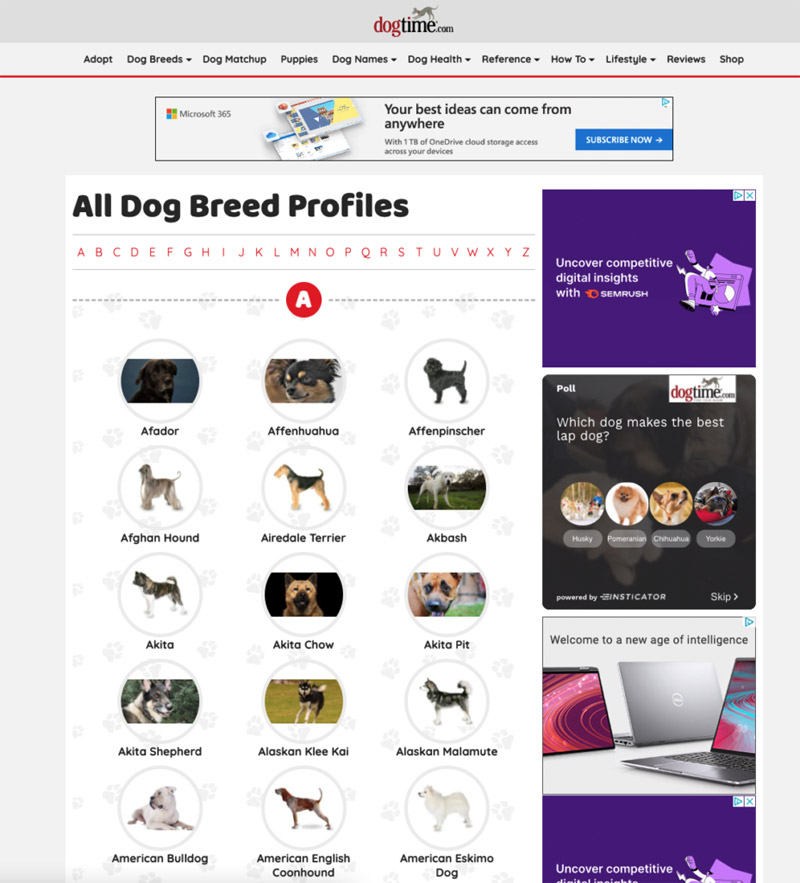 Страница каталога пород собак Dogtime